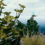 Игроки из Китая показали как местное комьюнити относится к читерам