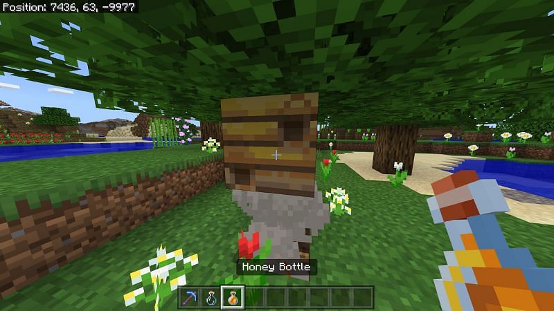  Как получить мед в Minecraft7 