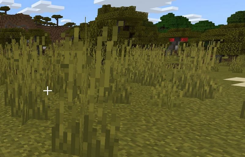 Как получить пшеницу в Minecraft1