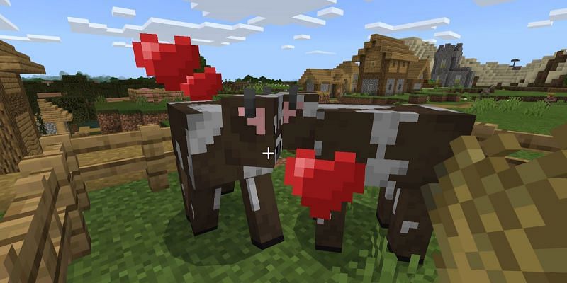 Как получить пшеницу в Minecraft2